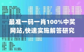 最准一码一肖100%中奖网站,快速实施解答研究_XWH6.61