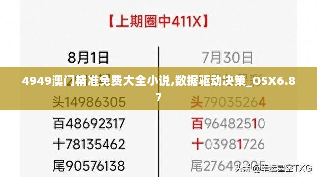 4949澳门精准免费大全小说,数据驱动决策_OSX6.87