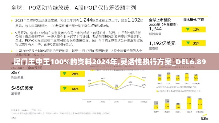 澳门王中王100%的资料2024年,灵活性执行方案_DEL6.89