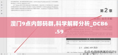 澳门9点内部码群,科学解释分析_DCB6.59