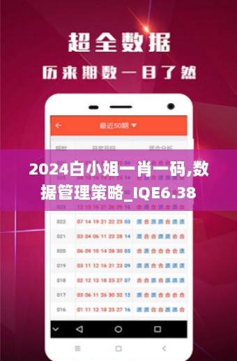 2024白小姐一肖一码,数据管理策略_IQE6.38