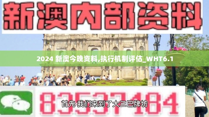 2024 新澳今晚资料,执行机制评估_WHT6.1