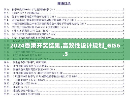 2024香港开奖结果,高效性设计规划_GIS6.3