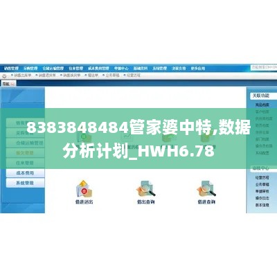 8383848484管家婆中特,数据分析计划_HWH6.78