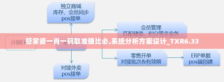 管家婆一肖一码取准确比必,系统分析方案设计_TXR6.33