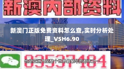 新澳门正版免费资料怎么查,实时分析处理_VSH6.90