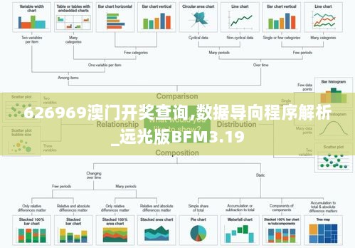 626969澳门开奖查询,数据导向程序解析_远光版BFM3.19