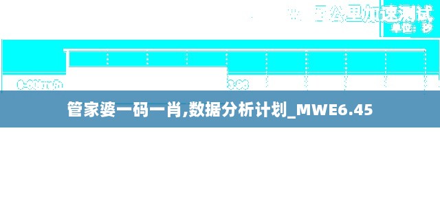 管家婆一码一肖,数据分析计划_MWE6.45