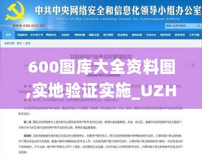 600图库大全资料图,实地验证实施_UZH6.13