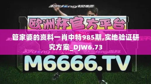 管家婆的资料一肖中特985期,实地验证研究方案_DJW6.73