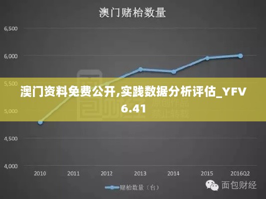 澳门资料免费公开,实践数据分析评估_YFV6.41