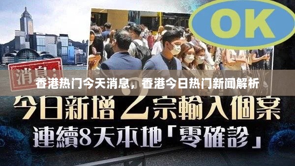 香港今日热门新闻解析与消息汇总