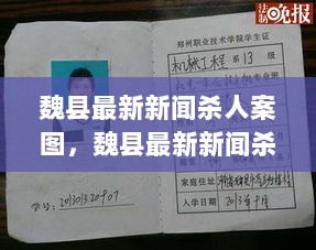 魏县最新新闻杀人案图解析，详细步骤指南