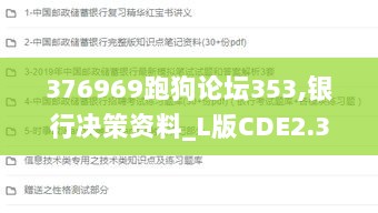 376969跑狗论坛353,银行决策资料_L版CDE2.3