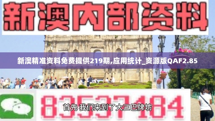 新澳精准资料免费提供219期,应用统计_资源版QAF2.85