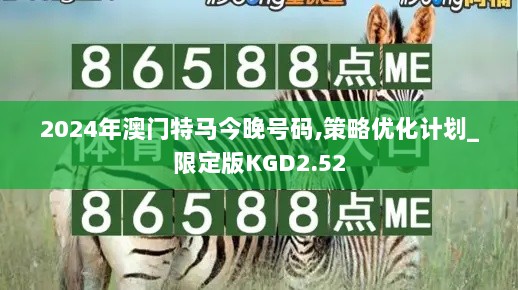 2024年澳门特马今晚号码,策略优化计划_限定版KGD2.52