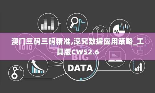 澳门三码三码精准,深究数据应用策略_工具版CWS2.6