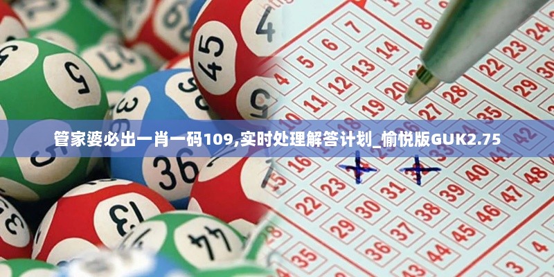 管家婆必出一肖一码109,实时处理解答计划_愉悦版GUK2.75