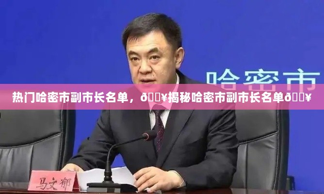 哈密市副市长名单揭秘，热门榜单出炉！