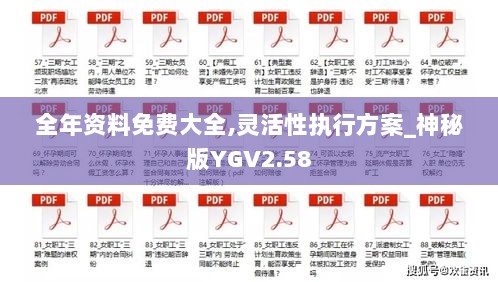 全年资料免费大全,灵活性执行方案_神秘版YGV2.58