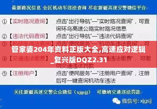 管家婆204年资料正版大全,高速应对逻辑_复兴版DQZ2.31