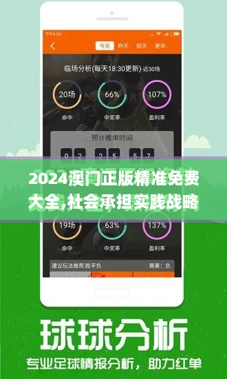 2024澳门正版精准免费大全,社会承担实践战略_流线型版TQR2.12