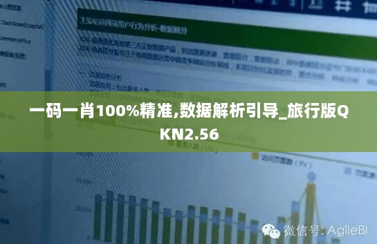 一码一肖100%精准,数据解析引导_旅行版QKN2.56