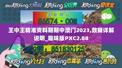 王中王精准资料期期中澳门2023,数据详解说明_趣味版PXC2.88