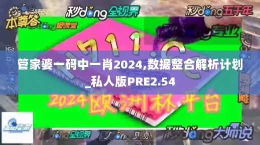 管家婆一码中一肖2024,数据整合解析计划_私人版PRE2.54