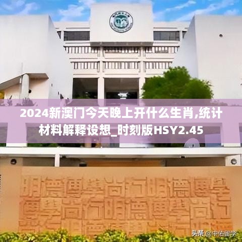 2024新澳门今天晚上开什么生肖,统计材料解释设想_时刻版HSY2.45