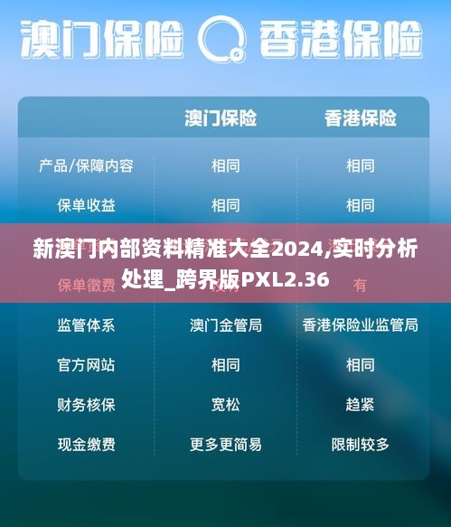 新澳门内部资料精准大全2024,实时分析处理_跨界版PXL2.36