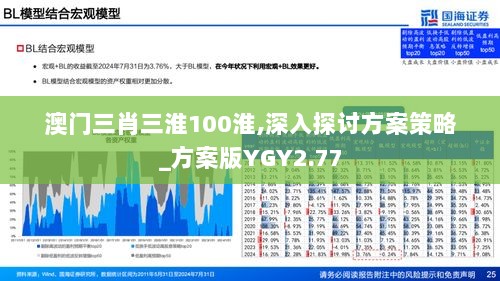 澳门三肖三淮100淮,深入探讨方案策略_方案版YGY2.77