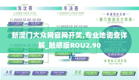 新澳门大众网官网开奖,专业地调查详解_触感版ROU2.90