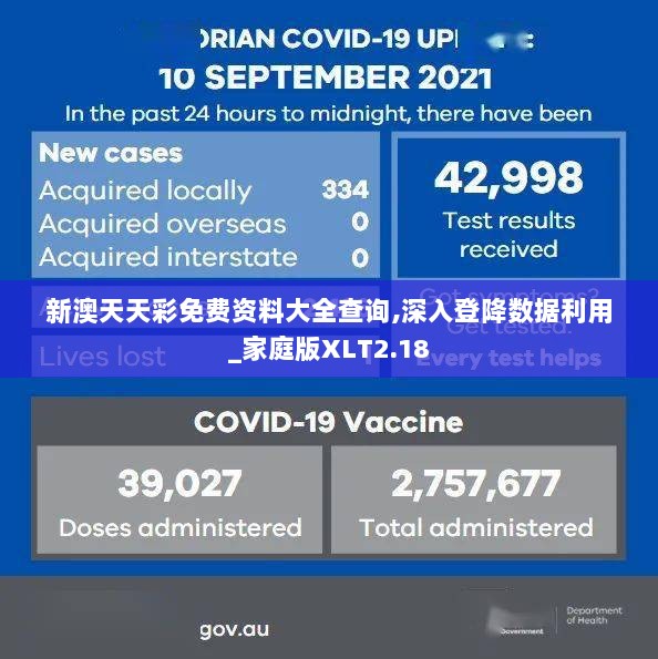 新澳天天彩免费资料大全查询,深入登降数据利用_家庭版XLT2.18