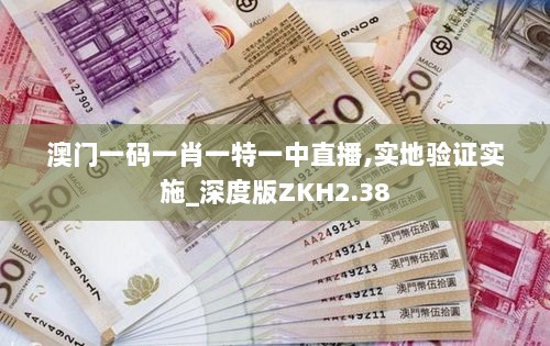 澳门一码一肖一特一中直播,实地验证实施_深度版ZKH2.38