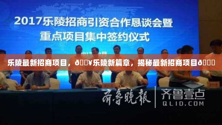 乐陵新篇章，揭秘最新招商项目火热启动