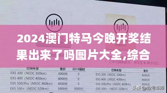 2024澳门特马今晚开奖结果出来了吗图片大全,综合计划评估_户外版ZBT2.91