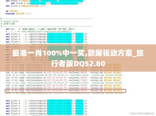 最准一肖100%中一奖,数据驱动方案_旅行者版DQS2.80