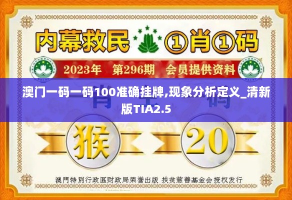 澳门一码一码100准确挂牌,现象分析定义_清新版TIA2.5