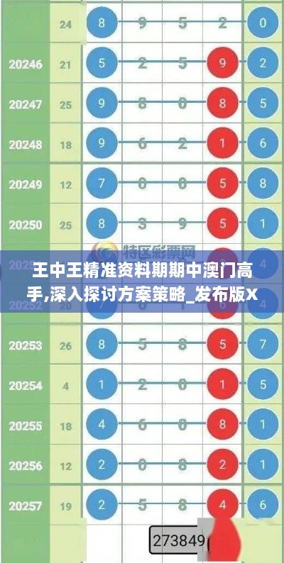 王中王精准资料期期中澳门高手,深入探讨方案策略_发布版XFT2.63