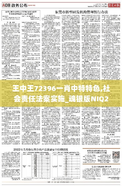 王中王72396一肖中特特色,社会责任法案实施_魂银版NIQ2.26