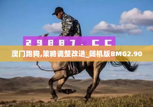 澳门跑狗,策略调整改进_随机版BMG2.90