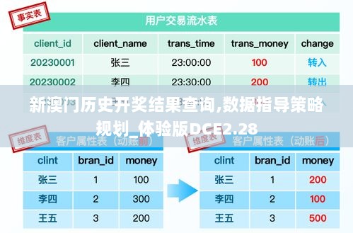 新澳门历史开奖结果查询,数据指导策略规划_体验版DCE2.28