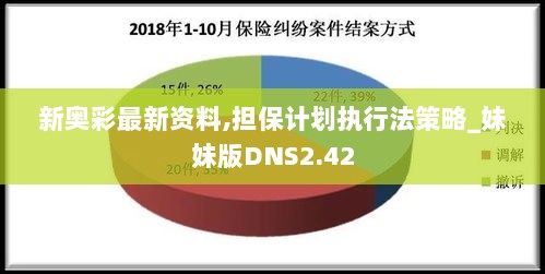 新奥彩最新资料,担保计划执行法策略_妹妹版DNS2.42