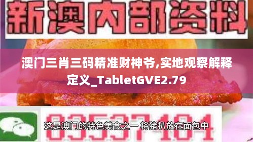 澳门三肖三码精准财神爷,实地观察解释定义_TabletGVE2.79