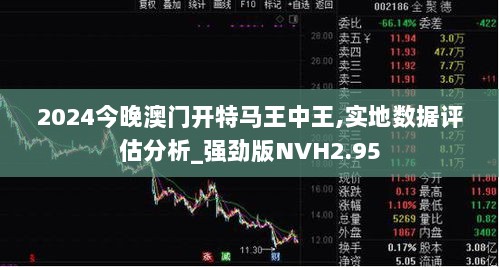 2024今晚澳门开特马王中王,实地数据评估分析_强劲版NVH2.95