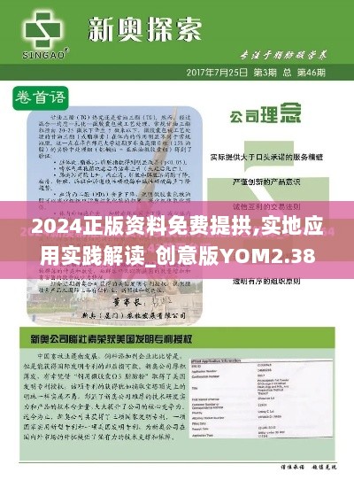 2024正版资料免费提拱,实地应用实践解读_创意版YOM2.38