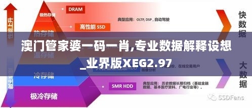 澳门管家婆一码一肖,专业数据解释设想_业界版XEG2.97