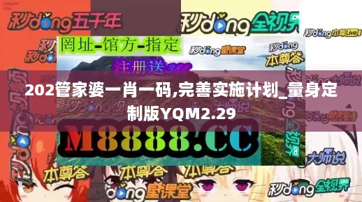 202管家婆一肖一码,完善实施计划_量身定制版YQM2.29