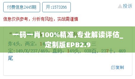 一码一肖100%精准,专业解读评估_定制版EPB2.9